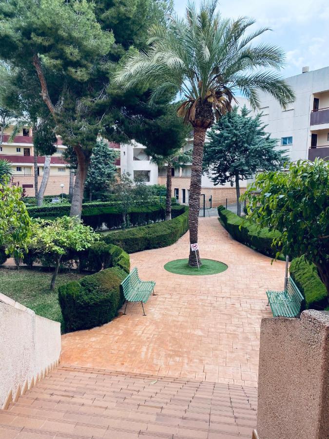 Apartamento Mil Palmeras Pilar de la Horadada Exterior photo